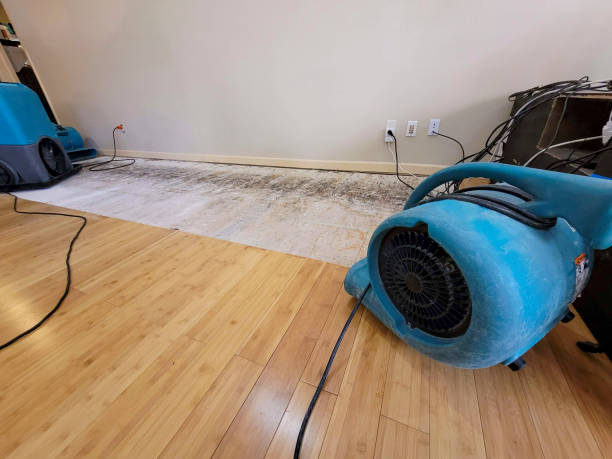 Professional Sewage Cleanup technician working in Hampstead, NH